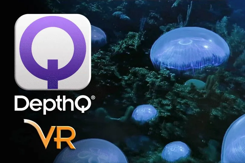 DepthQ software for VR